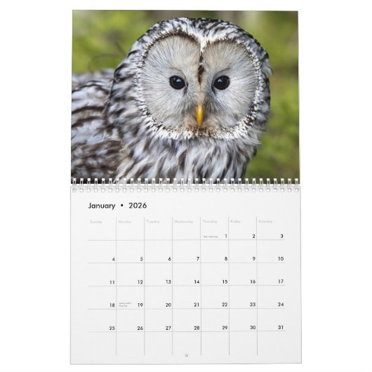 Calendrier Belle Chouette Mur élégant (Jan 2026)