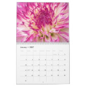 Calendrier Belle Dahlias 2020 (Jan 2027)