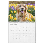 Calendrier Belle Golden Retrievers Mur Amoureux de les chiens (Mar 2026)