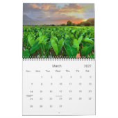Calendrier Belle Hawaii (Mar 2027)