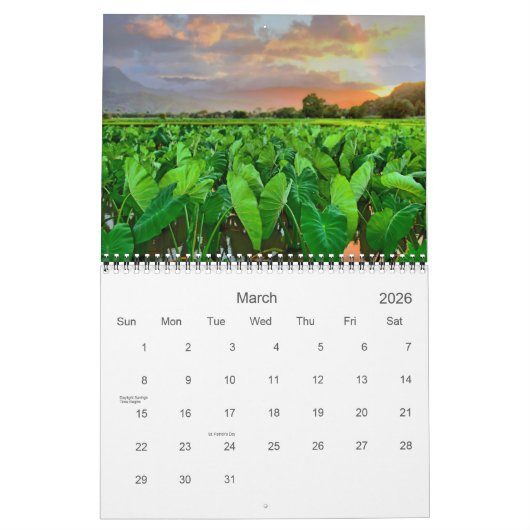 Calendrier Belle Hawaii (Mar 2026)