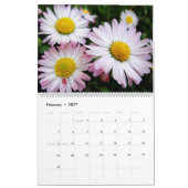 Calendrier Belle nature (Feb 2027)