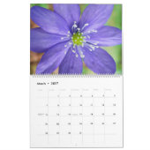 Calendrier Belle nature (Mar 2027)