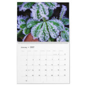 Calendrier Belle nature (Jan 2027)