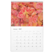 Calendrier belle nature 2022 (Jan 2027)