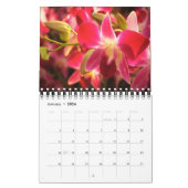 Calendrier Belle Orchidées Nature Photographie (Jan 2026)