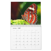 Calendrier Belle Papillons Photographie (Jan 2027)