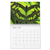 Calendrier Belle Papillons Photographie (Feb 2027)