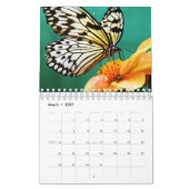 Calendrier Belle Papillons Photographie (Mar 2027)