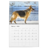 Calendrier Belle photo de berger allemand (Feb 2026)