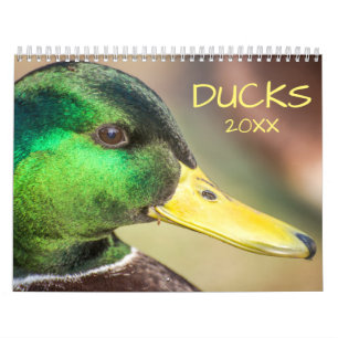 Calendrier Belle photo de Canards