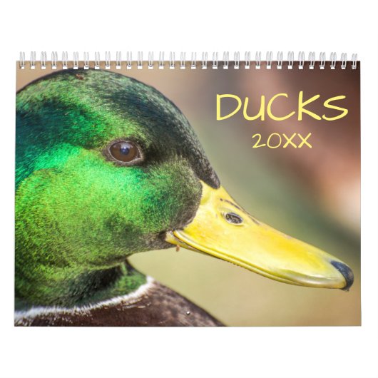 Calendrier Belle photo de Canards (Protection)