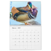 Calendrier Belle photo de Canards (Feb 2027)