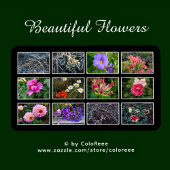Calendrier Belle photo de fleurs -
