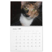 CALENDRIER BELLES FELINES (Jan 2027)