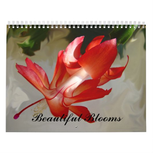 Calendrier - Belles fleurs (Protection)