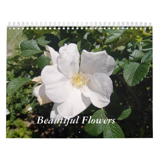 Calendrier Belles fleurs (Protection)
