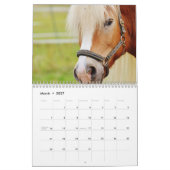 Calendrier Belles images de chevaux 2024 (Mar 2027)
