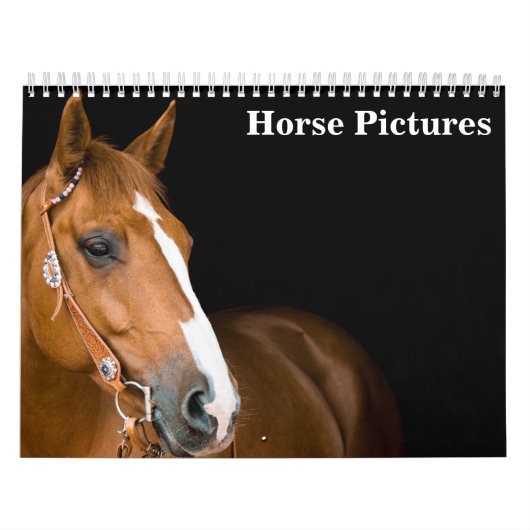 Calendrier Belles images de chevaux 2025 (Protection)