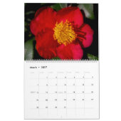 CALENDRIER BELLES IMPRESSIONS (Mar 2027)