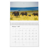 Calendrier Belles photographies d'éléphant (Feb 2027)