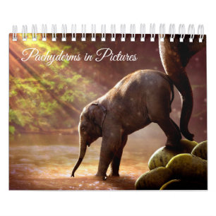 Calendrier Belles photographies d'éléphant