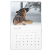 Calendrier Belles photos de bergers allemands (Jan 2027)