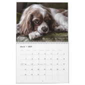 Calendrier Belles photos de chiens (Mar 2027)