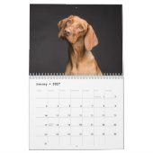Calendrier Belles photos de chiens (Jan 2027)