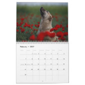 Calendrier Belles photos de chiens (Feb 2027)