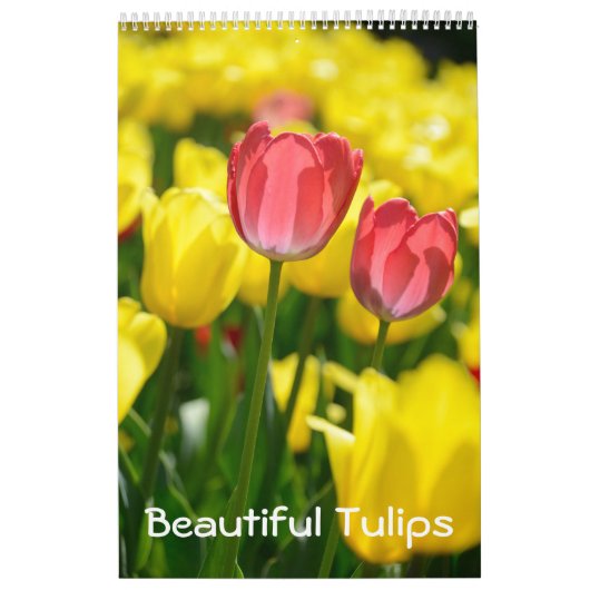 Calendrier Belles tulipes de 12 mois (#2) (Protection)