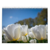 Calendrier Belles tulipes néerlandaises (Protection)