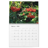 Calendrier Berries (Feb 2026)