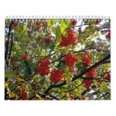 Calendrier Berries (Protection)