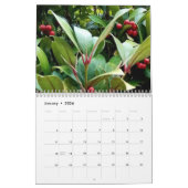 Calendrier Berries (Jan 2026)