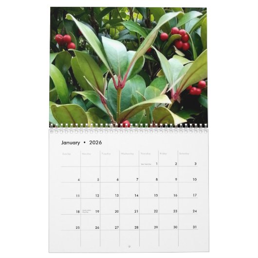 Calendrier Berries (Jan 2026)