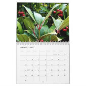 Calendrier Berries (Jan 2027)