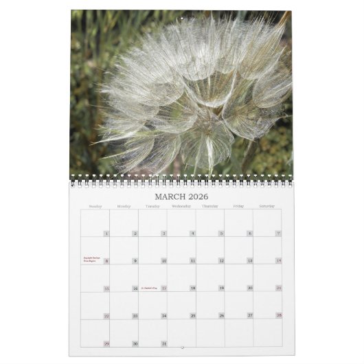 Calendrier ~ Berries et graines (Mar 2026)