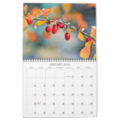 Calendrier ~ Berries et graines (Jan 2026)