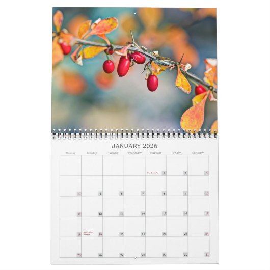 Calendrier ~ Berries et graines (Jan 2026)