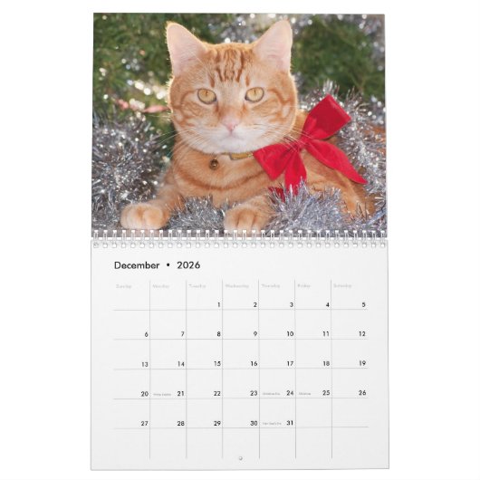 Calendrier Best Cats (Dec 2026)