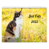Calendrier Best Cats (Protection)
