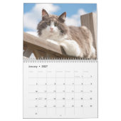 Calendrier Best Cats (Jan 2027)