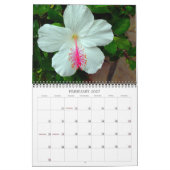 Calendrier Best of Hawaii 2023-2024 (Feb 2027)