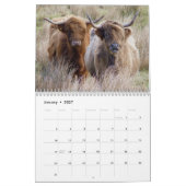 Calendrier Bétail écossais (Jan 2027)