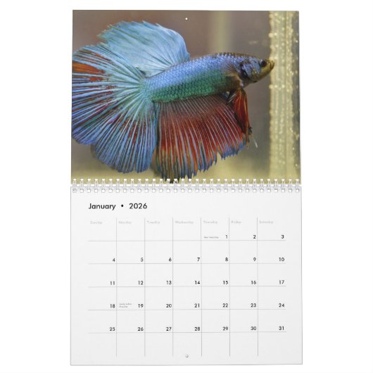 Calendrier Bettafish (Jan 2026)