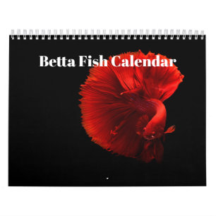 Calendrier Bettafish