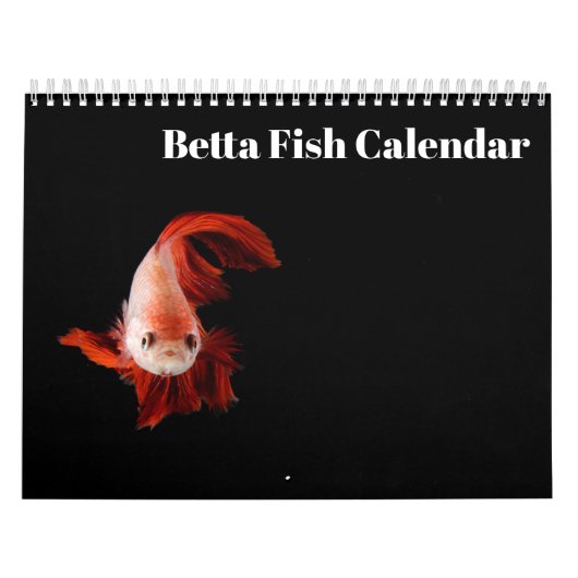Calendrier Bettafish 2025 (Protection)