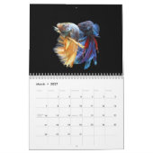 Calendrier Bettafish 2025 (Mar 2027)