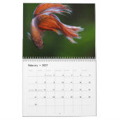 Calendrier Bettafish 2025 (Feb 2027)